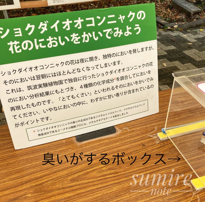 ショクダイオオコンニャクの臭いがする箱