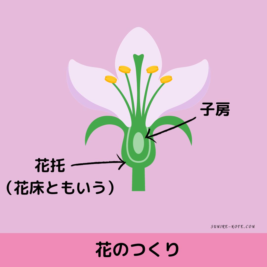 花のつくり