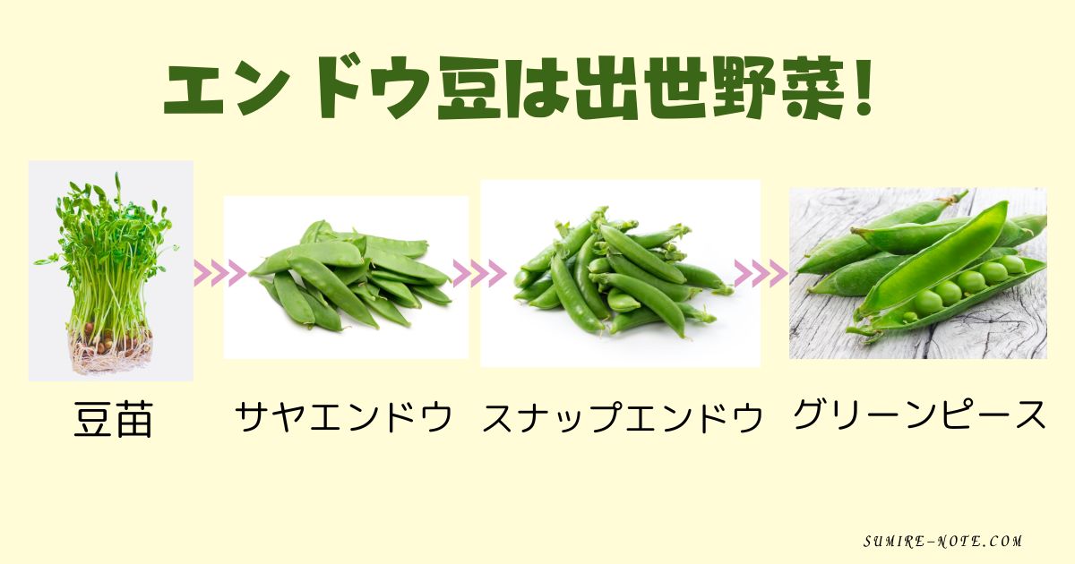 えんどう豆は出世野菜