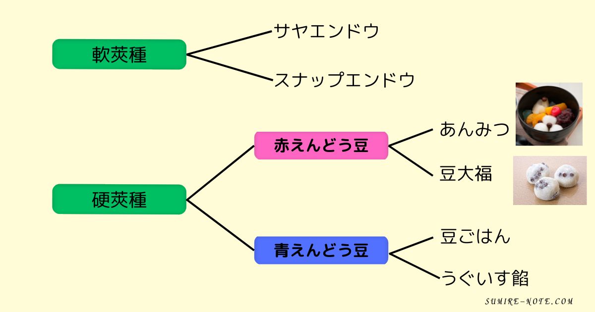 軟莢種と硬莢種