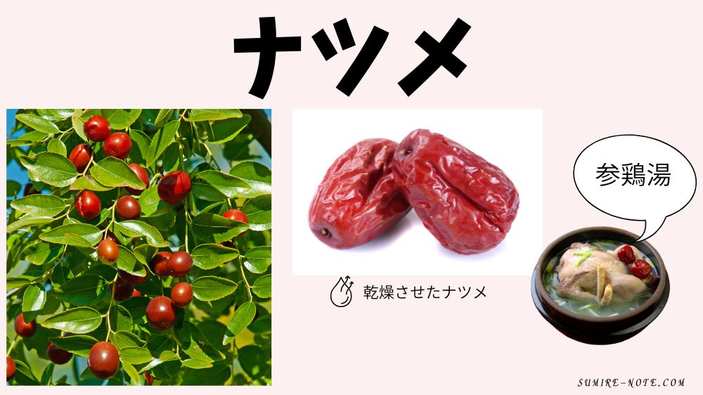 ナツメの説明