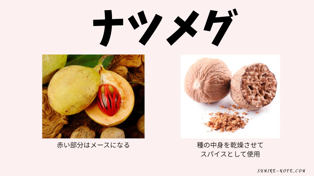 ナツメグの説明