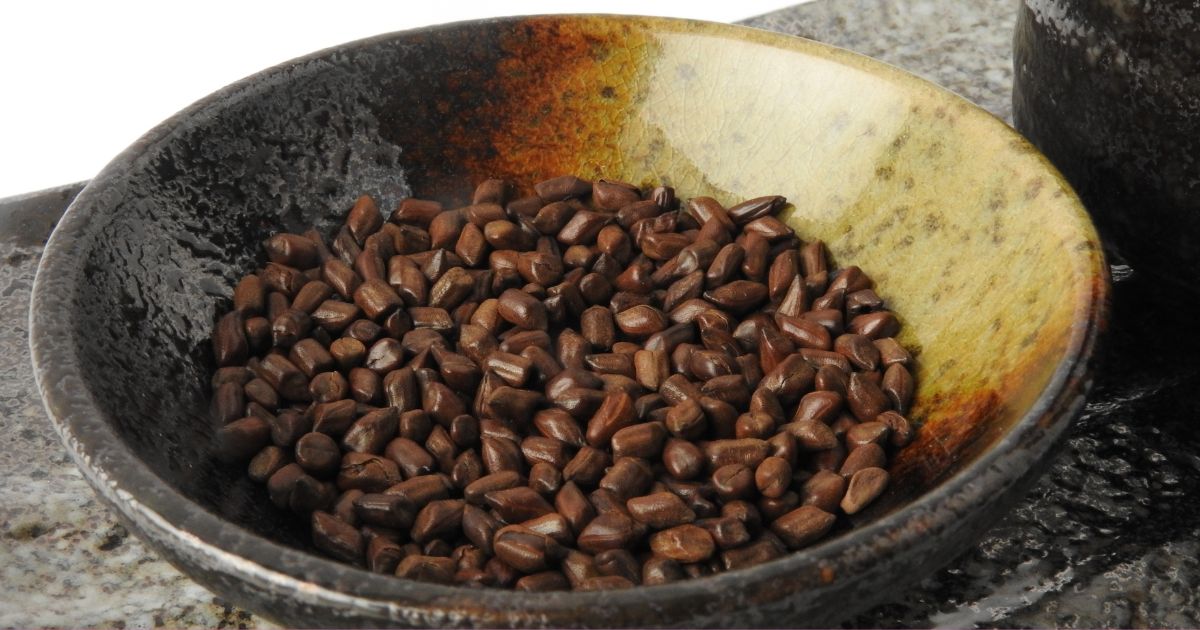 焙煎したエビスグサの種