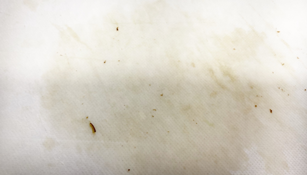 ヤーコンを切って汚れたまな板