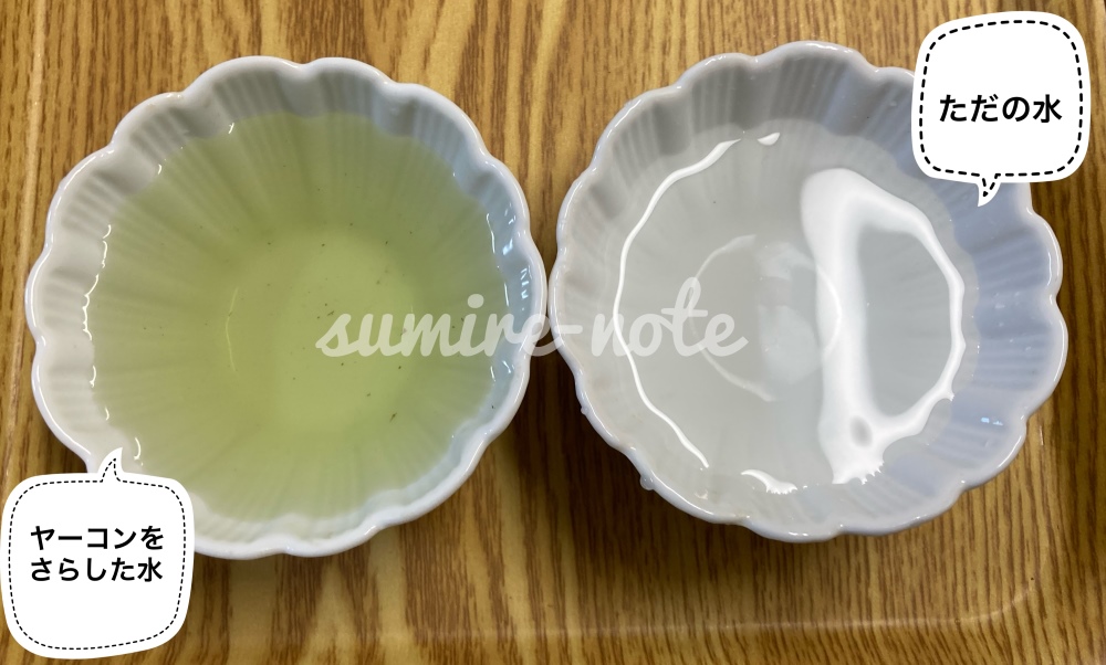 ヤーコンをさらした水と普通の水の比較