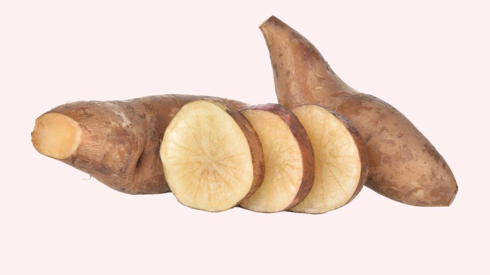 キレイに並べたヤーコン